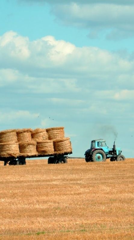 Auf dem Bild zieht ein Traktor einen Anhänger mit Strohballen über ein Feld.