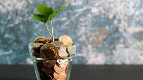 Mit Münzen bzw. Fördergeldern gefülltes Glas, aus dem eine Pflanze wächst