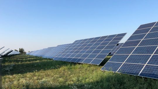 Eine große Solaranlage mit mehreren Reihen von Solarmodulen, die auf einem grasbewachsenen Feld installiert sind. Der Himmel ist klar und blau, was auf sonniges Wetter hindeutet. Die Solarmodule sind in einem leichten Winkel geneigt, um Sonnenlicht optimal einzufangen.
