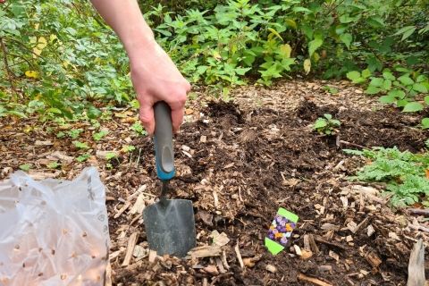 Zwiebelfest bei der WiR