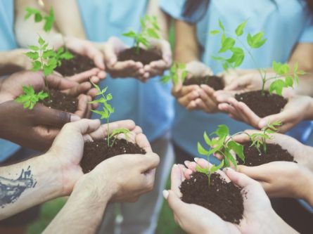 Acht Handpaare, die jeweils Erde und eine Pflanze halten. Diese stehen im Projektmanagement für die Idee, die langsam zum Projekt heranwächst.